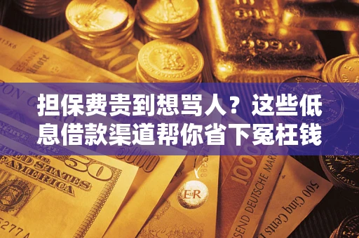 济南担保费贵到想骂人？这些低息借款渠道帮你省下冤枉钱