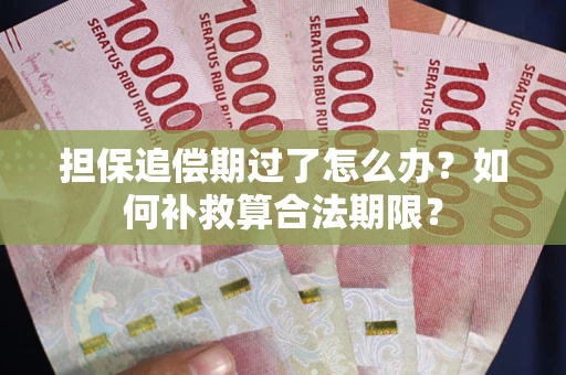 济南担保追偿期过了怎么办？如何补救算合法期限？