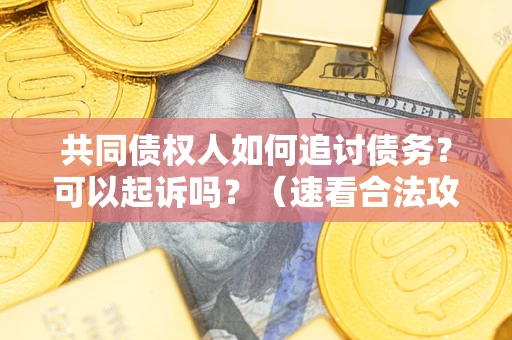 济南共同债权人如何追讨债务？可以起诉吗？（速看合法攻略）