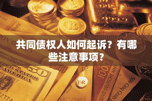 济南共同债权人如何起诉？有哪些注意事项？