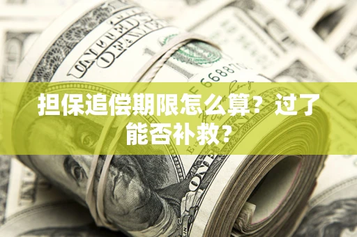 济南担保追偿期限怎么算？过了能否补救？